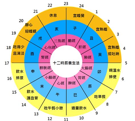 十二時辰養生對照表|人體經絡十二時辰對照表，選對時間，經絡養生事半功。